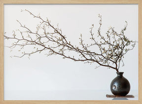 Vase And Branch Poster