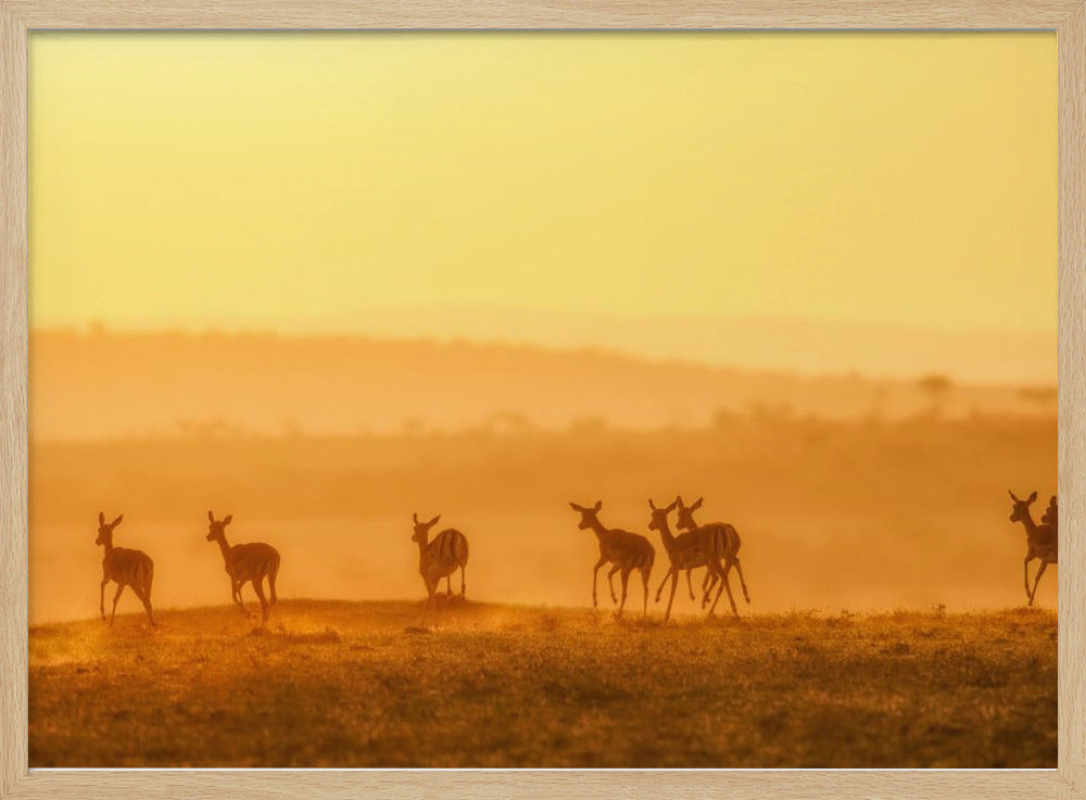 Towards Sunset Poster