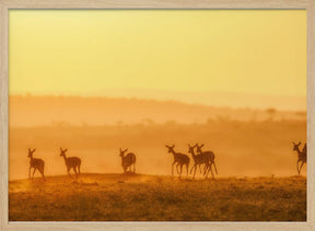 Towards Sunset Poster