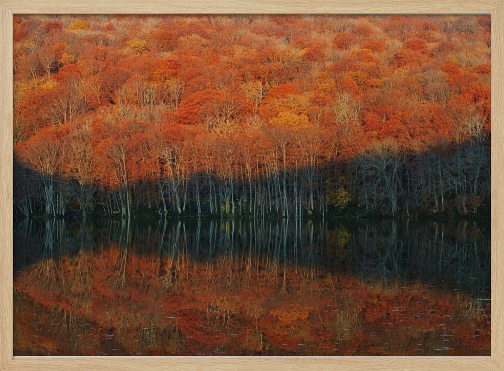 shadow fade away Poster