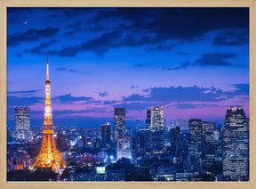 Tokyo night view Poster