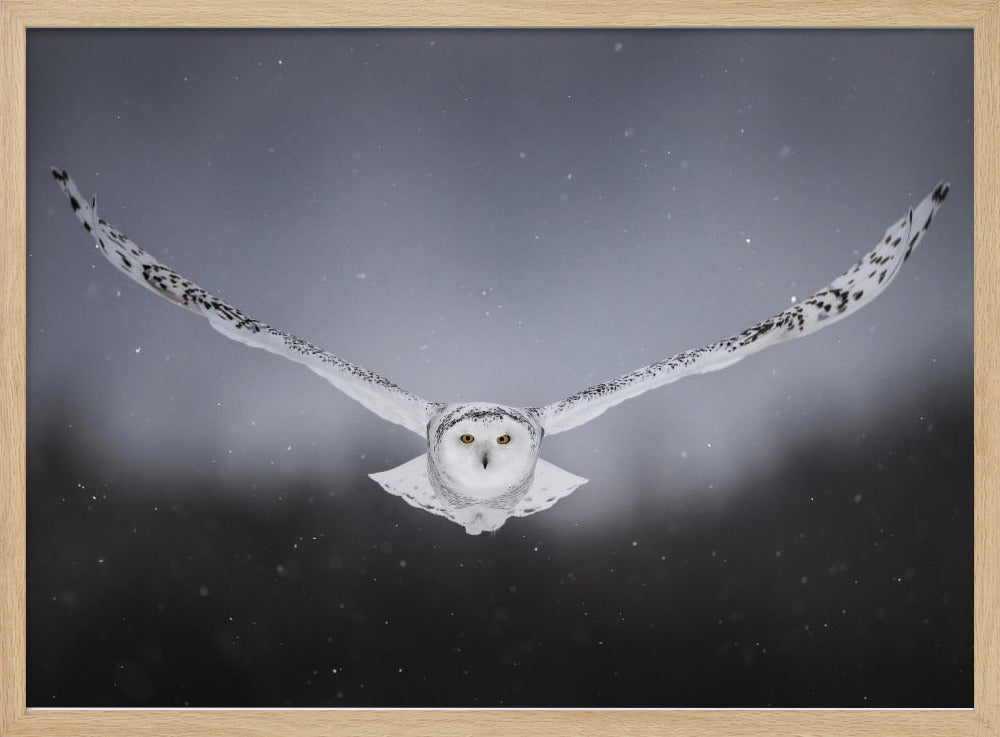 Straight to me Poster