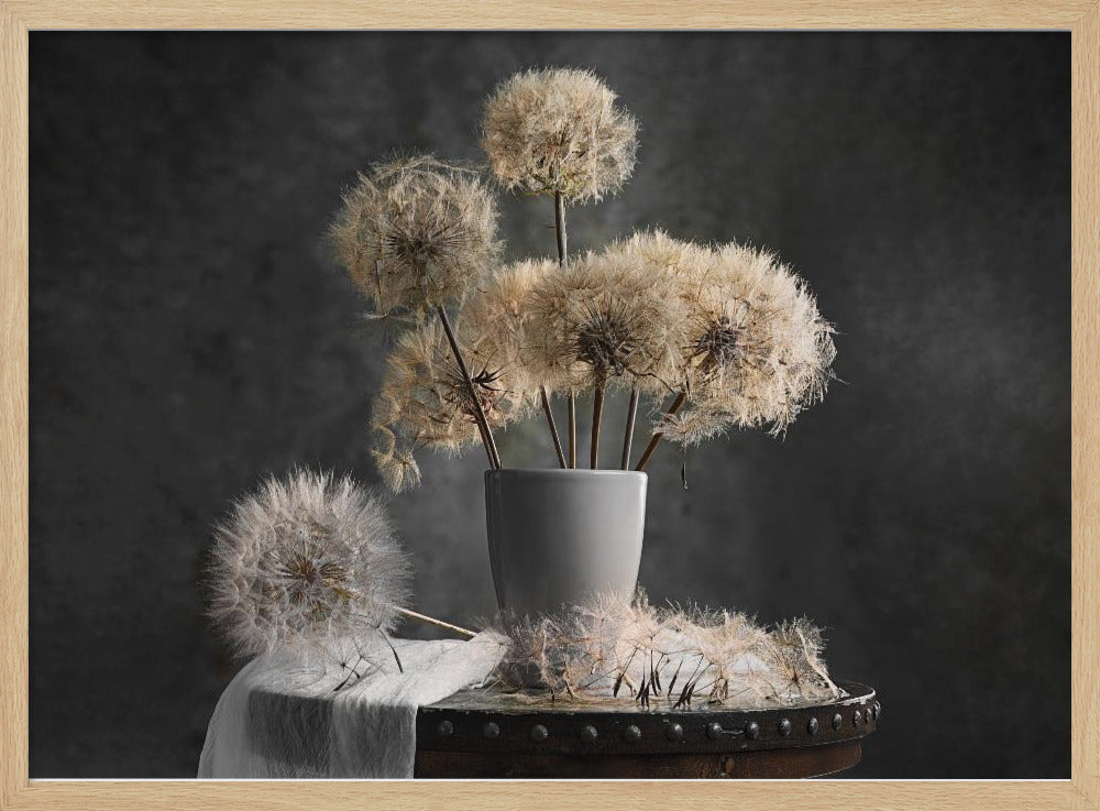 Dandelion Seed Pod Poster