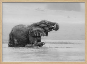 Crossing The Reiver with Mother Poster