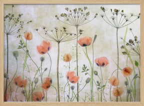 Poppy Meadow Poster