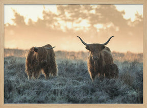 Three Highlanders Poster