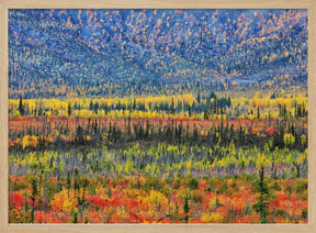 Fall Color in The Mountain Poster