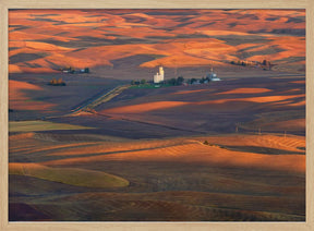 Golden Palouse Poster