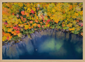 Autumn Pond Poster