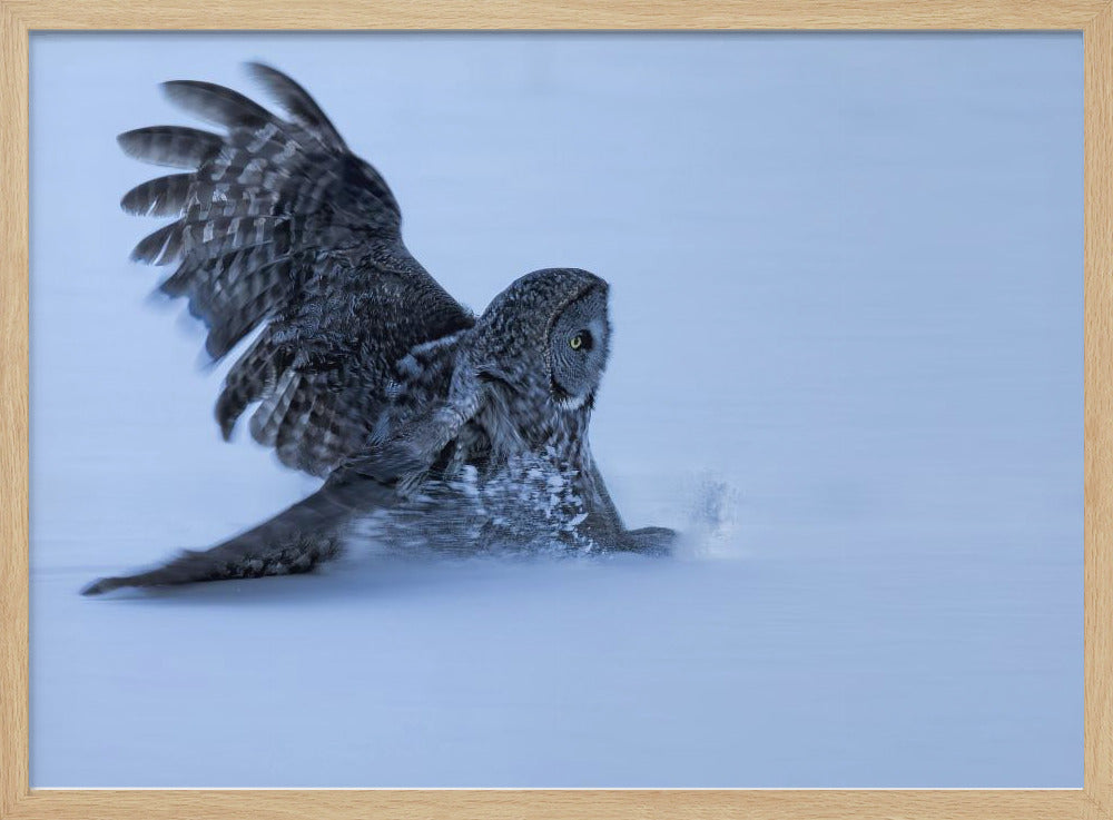 Sliding in The Snow Poster