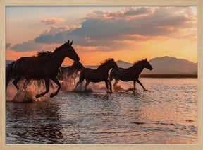 WATER HORSES Poster