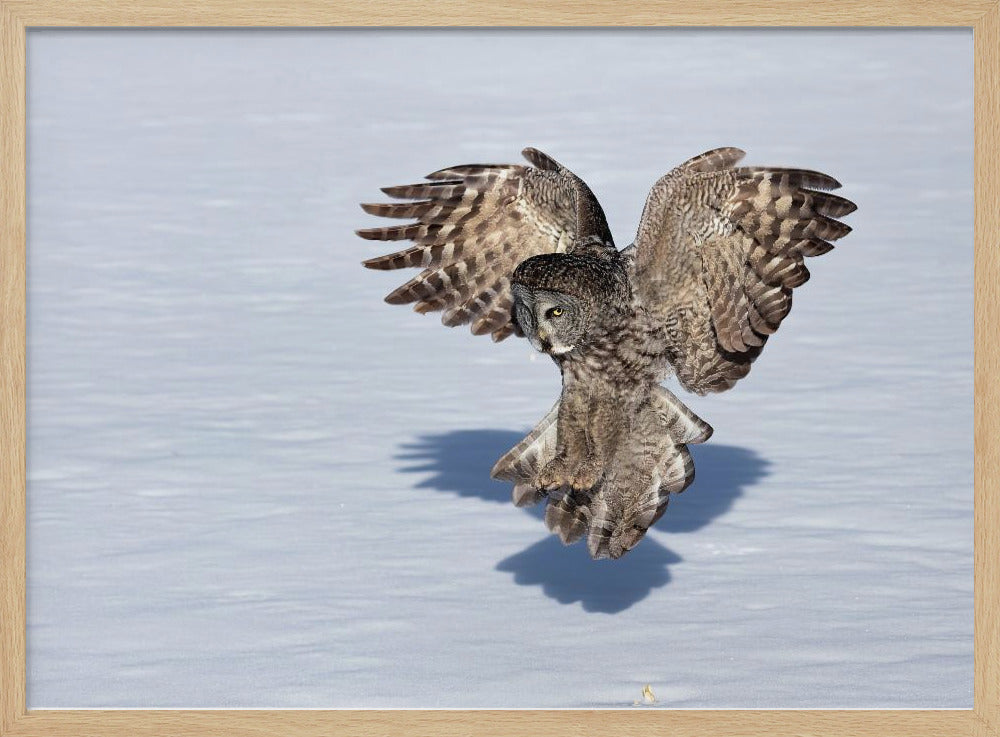 Just Before The Catch Poster