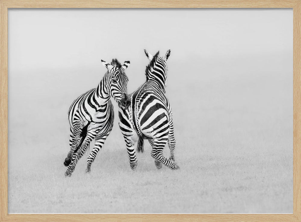 Playing or Fighting? Poster