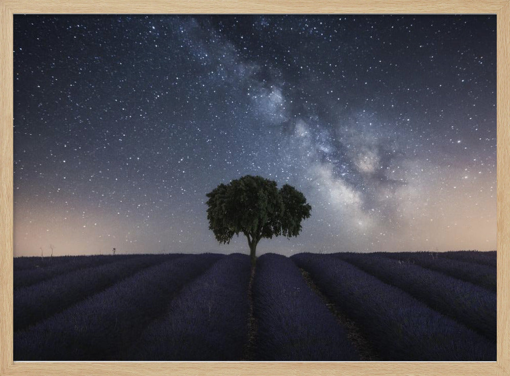 Tree and Milky Way Poster