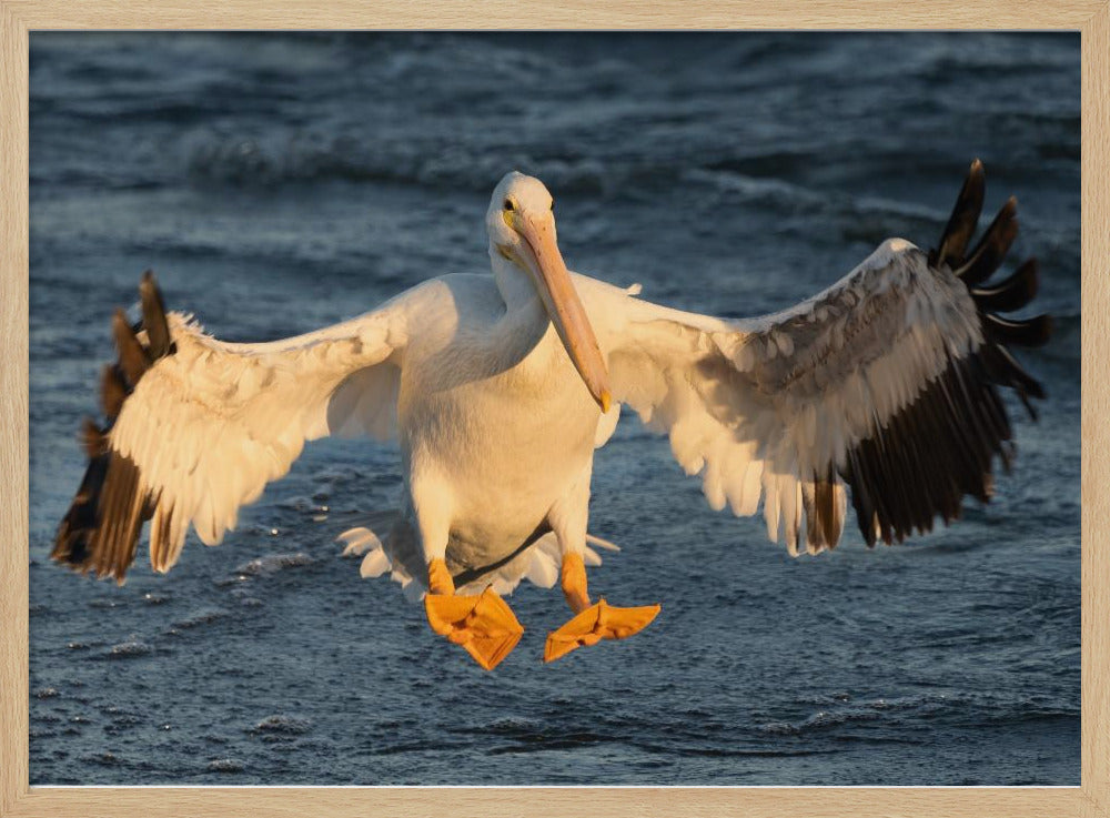 Landing Gear Poster