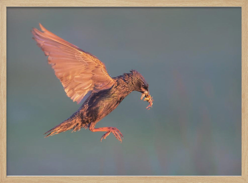 A Busy Morning Poster