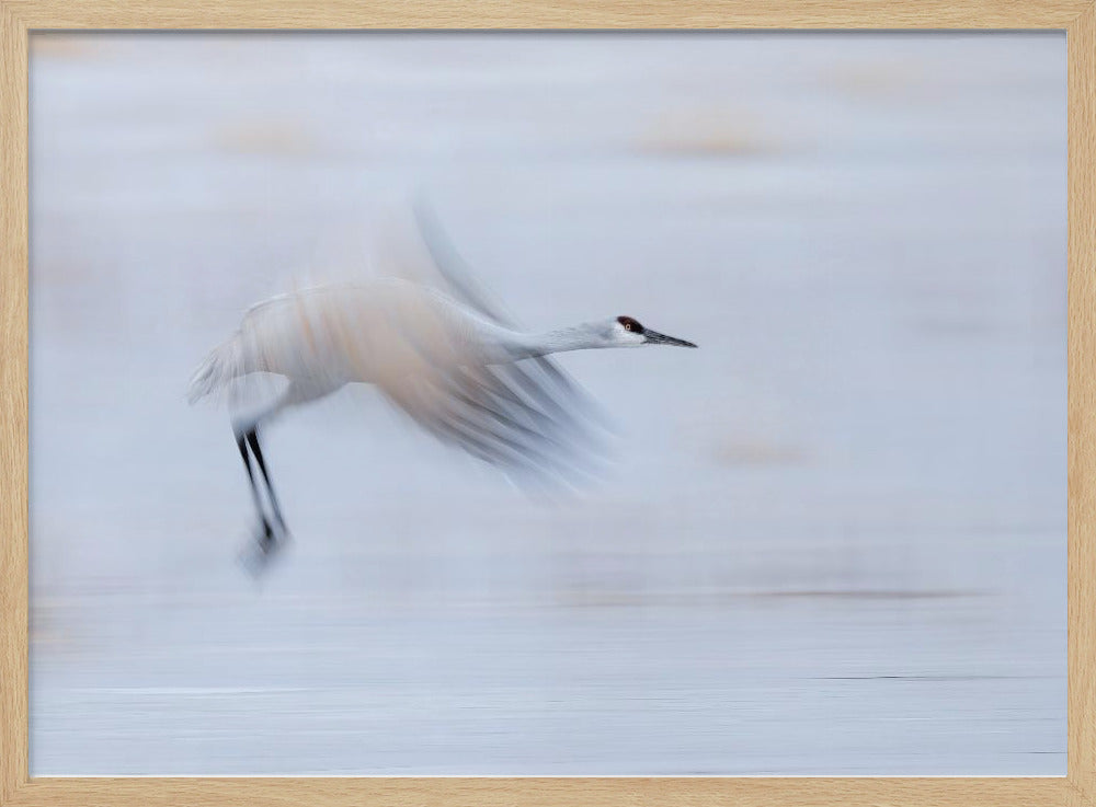 Taking Off Poster