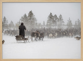 Arkadij drives a herd of reindeer Poster