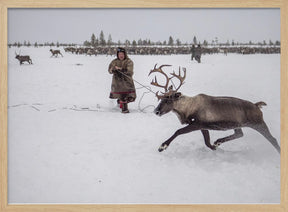 Jigori hunts reindeer II Poster