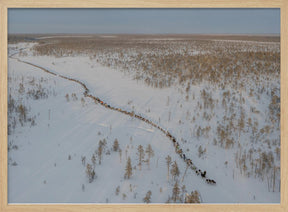 Nenets caravan on the move II Poster