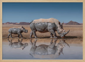 RhinosWalk Poster