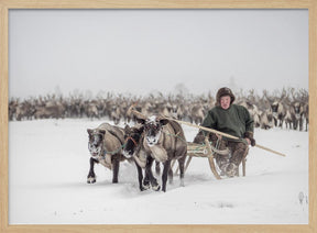 Semjon leads the herd Poster