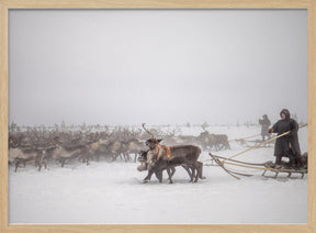 Arkadij and Kolja riding the herd Poster