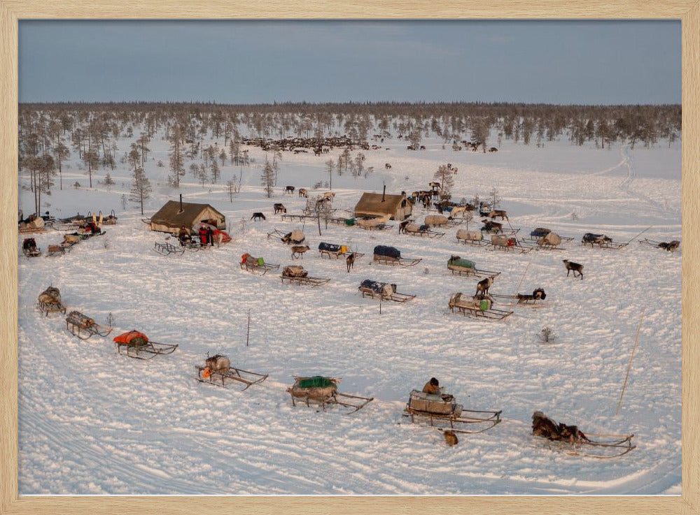 Morning in Nenets camp Poster