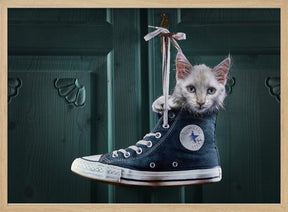 CatShoe Poster