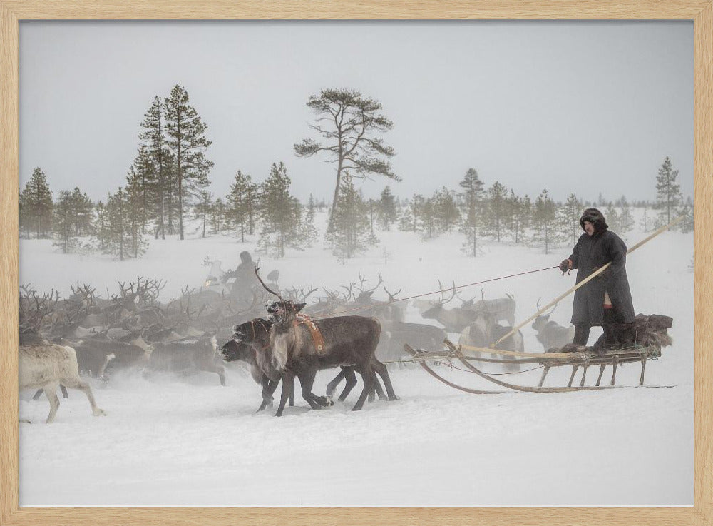 Arkadij and Kostya are riding the herd Poster