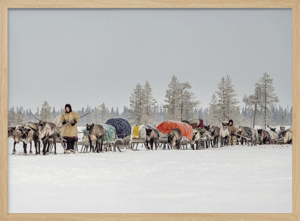 Women from the 8th Brigade on their way to the new camp Poster