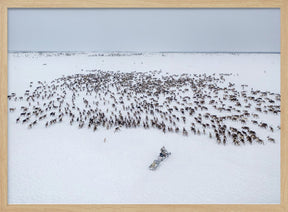 Kostya gathers the herd Poster