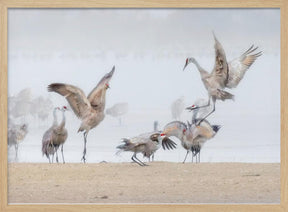 Dancing in The Foggy Morning Poster