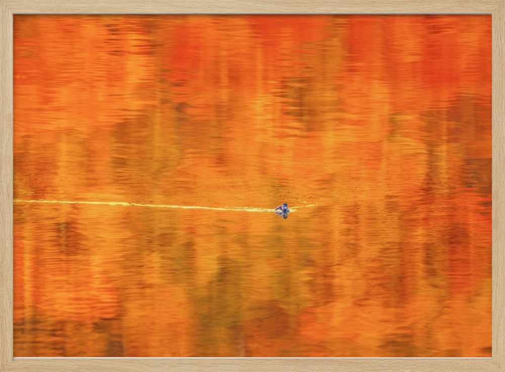 The Autumn Pond Poster