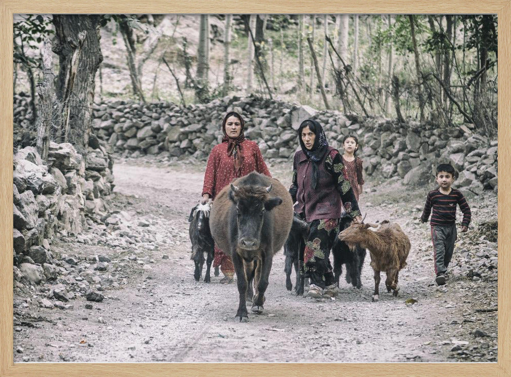 Tajik women and livestock on the way from pastures Poster