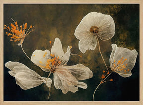 Transparent Flowers Poster