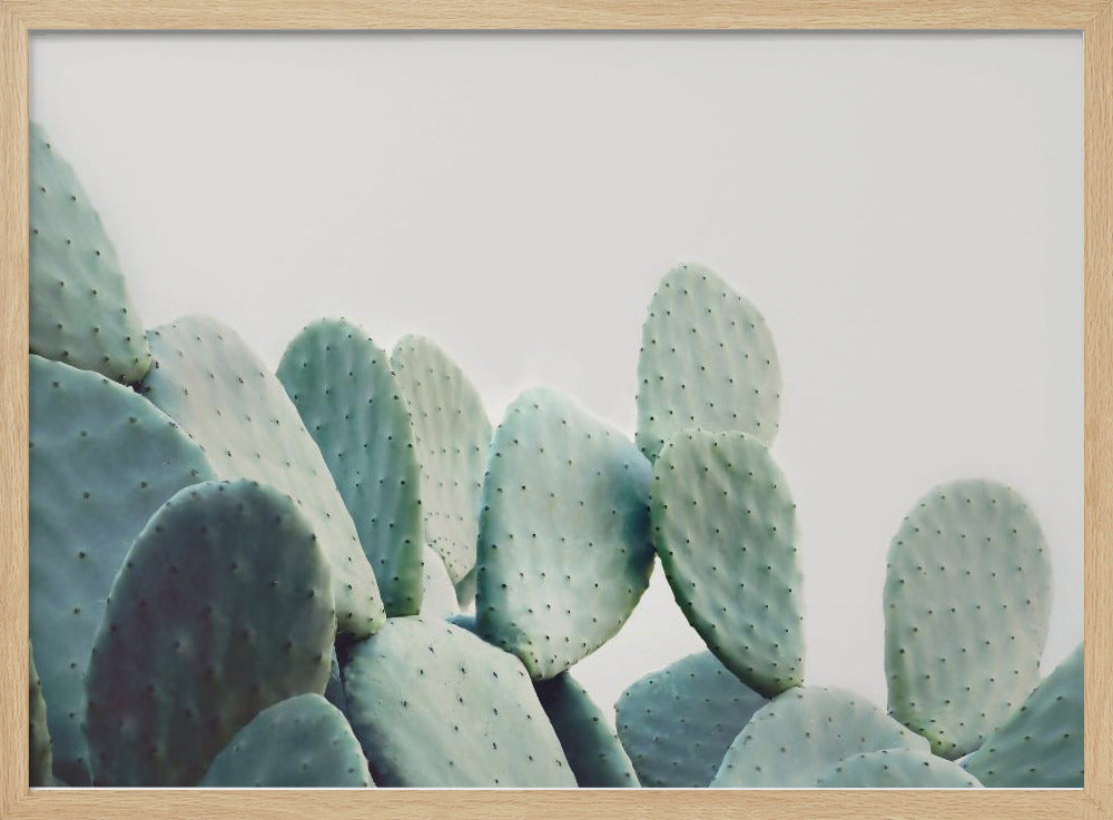 Pastel Cactus Poster