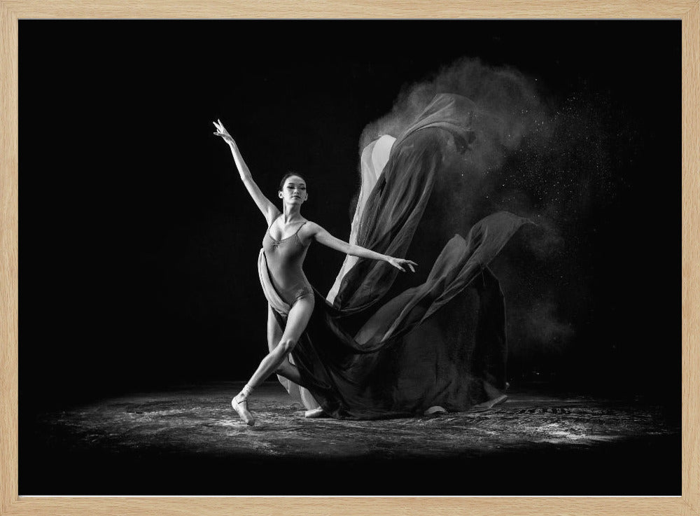 Step of Balerina Poster