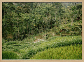 Tetebatu Lombok Poster