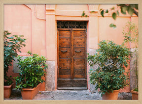 The Trastevere door Poster