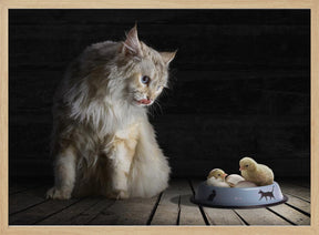 CatDinner Poster