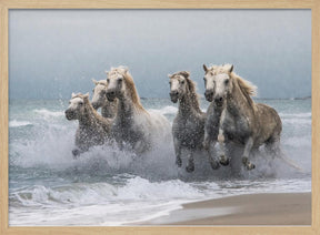 Wild horses Poster