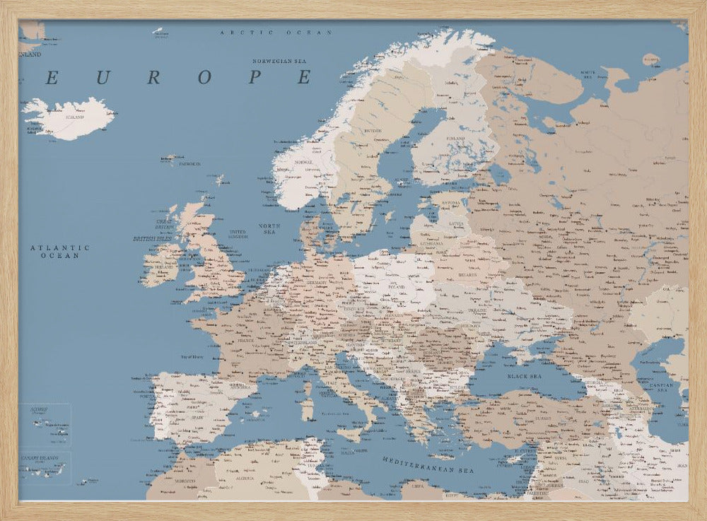 Amias detailed map of Europe Poster