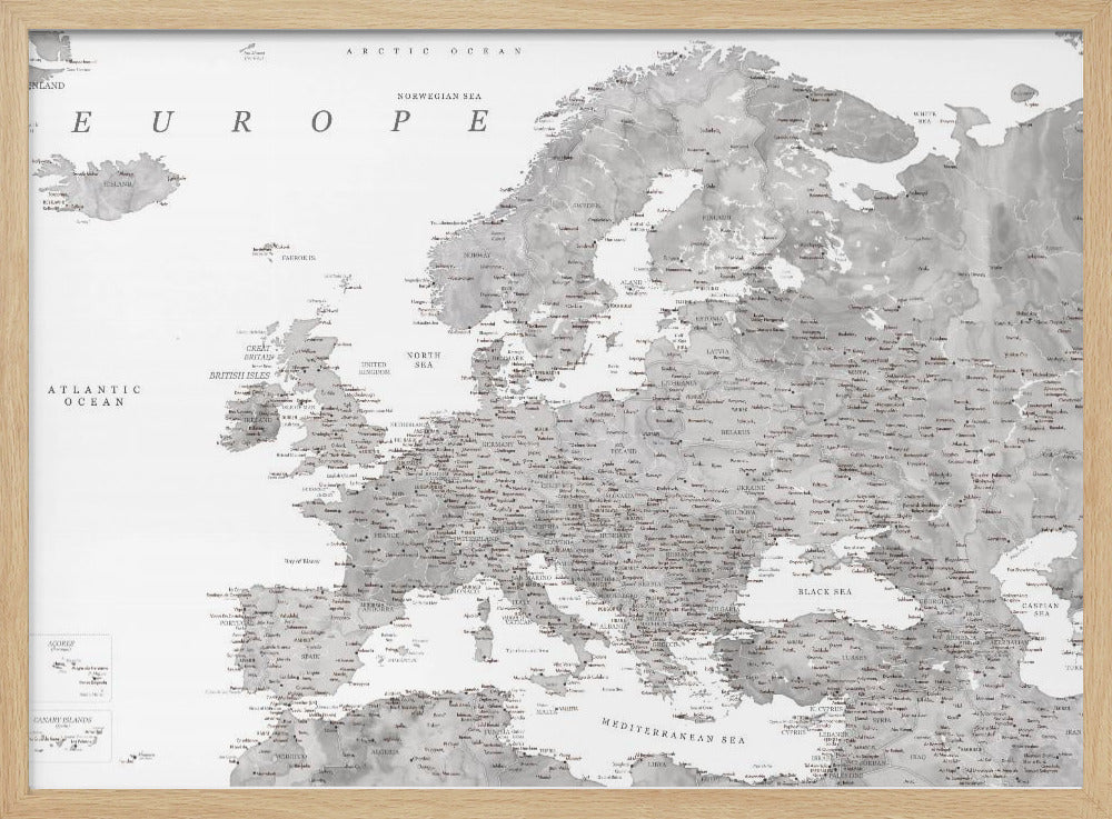 Gray watercolor Europe map Poster