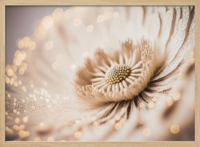 Beige Coral Flower Poster