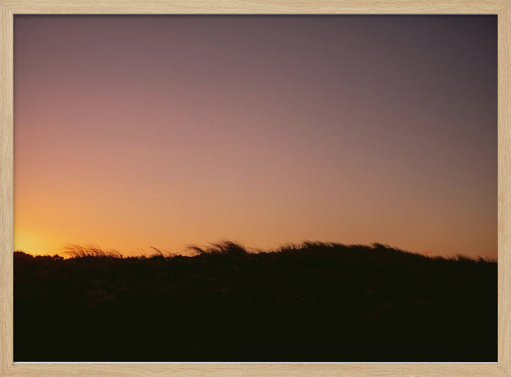 Dune Grass Sunset Horizontal Poster