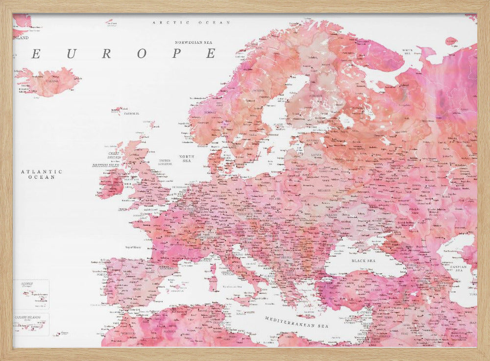 Tatiana detailed map of Europe Poster