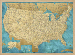 Highly detailed map of the United States, Lexy Poster