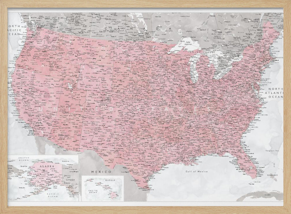 Highly detailed map of the United States, Gopi Poster