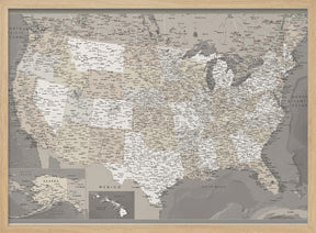 Highly detailed map of the United States, Davey Poster